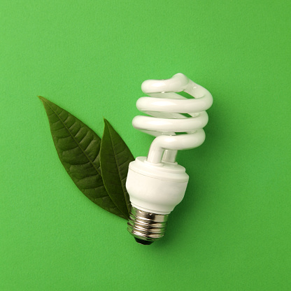 Energy saving lightbulb with two leaves on green background