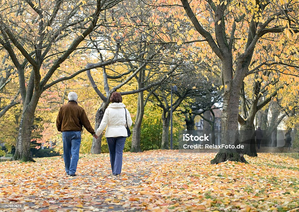 Vista posteriore della Coppia senior sotto alberi in autunno (XXL - Foto stock royalty-free di Camminare