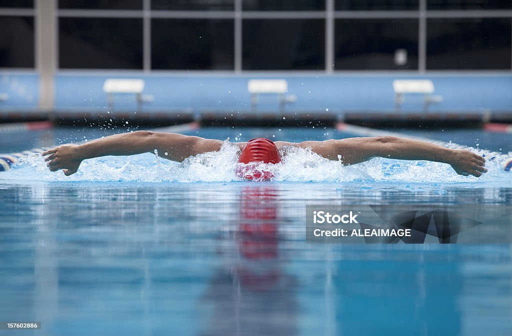 Swimming swimmer in olympic pool. Butterfly Stroke Stock Photo