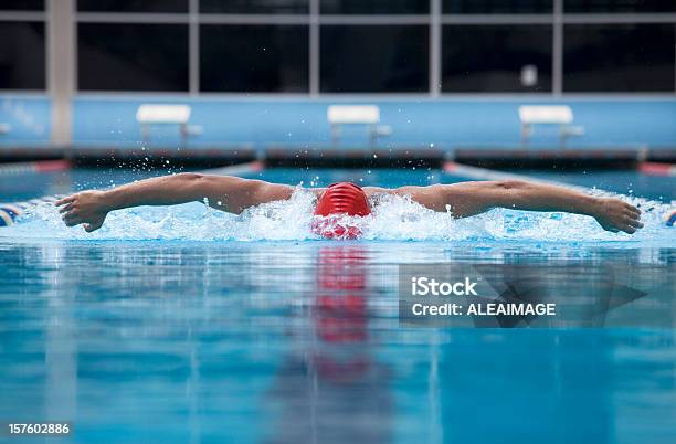 Swimming Stock Photo - Download Image Now - Butterfly Stroke, Active Lifestyle, Adult