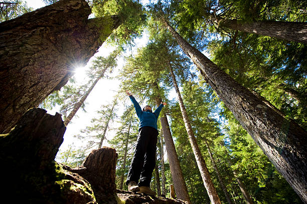 istock A hiker enjoying the temperate rainforest 157602917