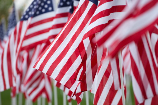 American flags fill the frame at a memorial day remembrance.