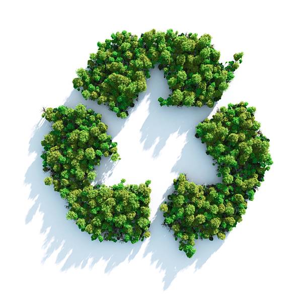 symbole de recyclage fait des arbres verdoyants - recyclage photos et images de collection