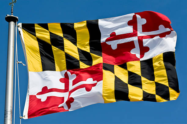 Maryland State Flag Waving In the Breeze The colorful flag of the state of Maryland flying in a stiff breeze. maryland state colors stock pictures, royalty-free photos & images