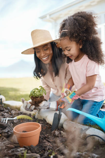 jardinage, mère et enfant avec plante dans le sol pour apprendre les compétences environnementales, agricoles et de la nature. aménagement paysager, famille et fille heureuse avec maman plantant des germes dans l’engrais, la terre et la terre - gardening vegetable garden action planting photos et images de collection