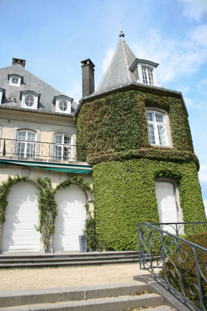 istock La Hulpe Castle covered in green ivy 157603265