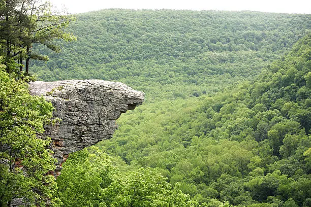 Photo of A forest in Arkansas centered on rocky cliff