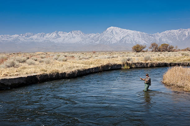 Fly Fishermen  owens river stock pictures, royalty-free photos & images