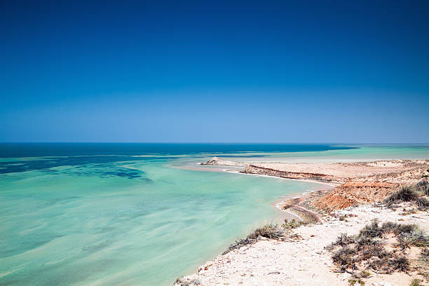 Australien Shark Bay World Heritage Site – Foto