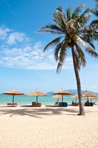 My Khe beach view with Da Nang cityscape.\nVietnam.