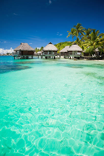 istock Beach Paradise Summer Holidays Hotel Cottages 157604427