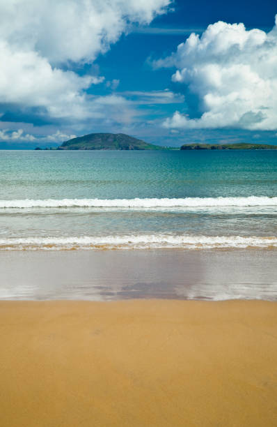 Idyllic view of Irish coast in summer with green meadows and cliffs