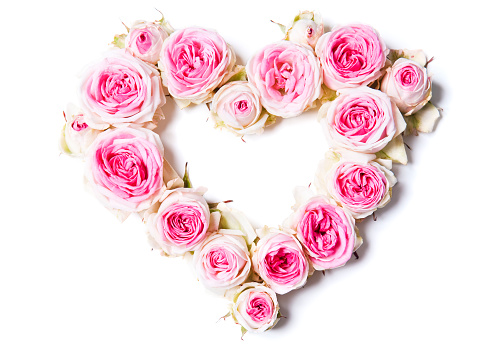 Love shape made of flowers of pink-white Rose on white background with shadow.
