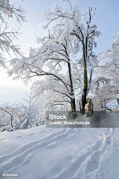 Paisagem Do Inverno Com Neve Coberta De Neve E Footprints Em Xxl - Fotografias de stock e mais imagens de Ao Ar Livre