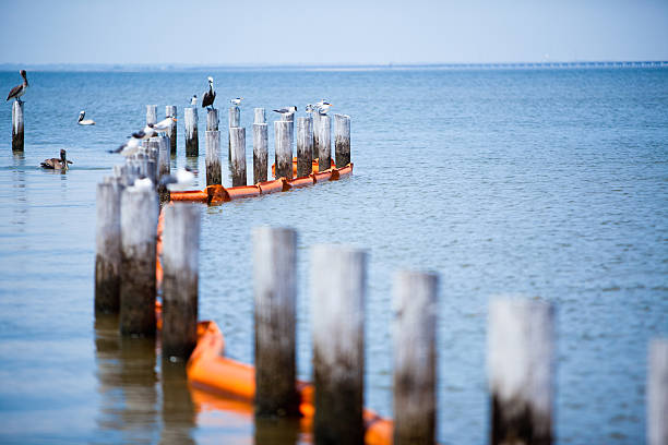 An oil protection boom deployed at Dauphin Island, Alabama to protect against the BP Deep Water Horizon oil spill.