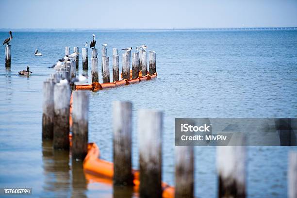 Foto de Derrame De Óleo Proteção Boom e mais fotos de stock de Vazamento de óleo - Vazamento de óleo, Limpar o Meio Ambiente, Gulf Shores