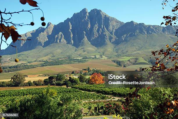 Foto de Vale Winterhoek e mais fotos de stock de Fazenda - Fazenda, Limoeiro - Árvore Frutífera, Montanha