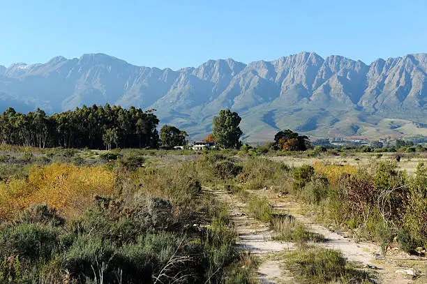 Scenic Western Cape Autumn Landscape, fynbos in front & with the beautiful Witzenberg Mountains in the background.