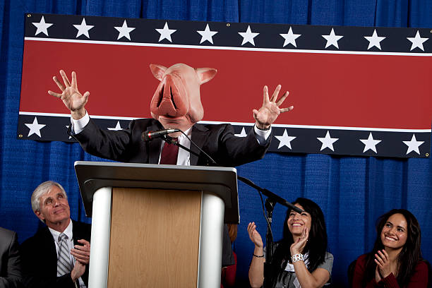 Pork Barrel Politician