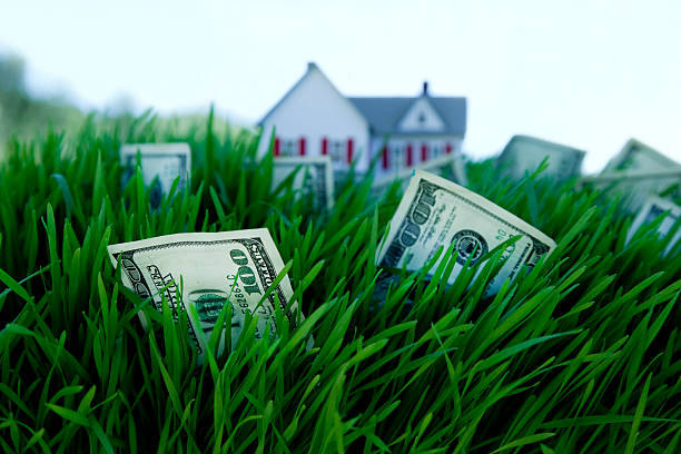 money growing on grass  money house stock pictures, royalty-free photos & images