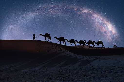 Camel caravan in the desert with milky way galaxy -  Sahara, Morrocco