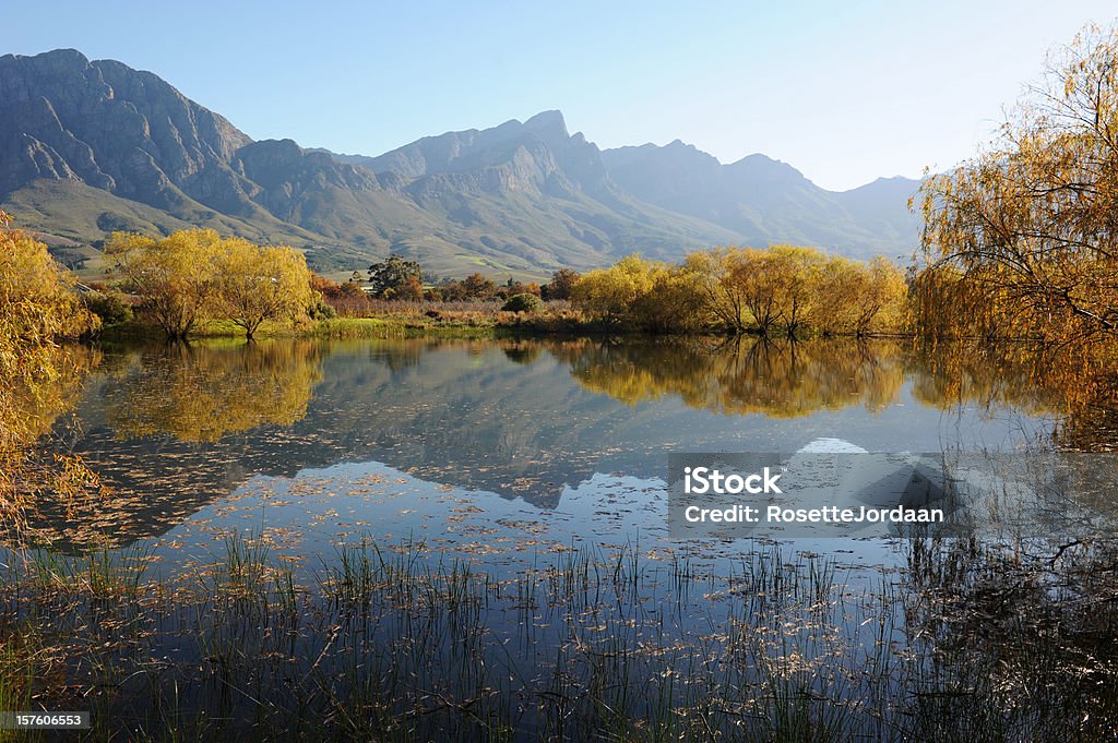 Autumn Reflection  Agriculture Stock Photo