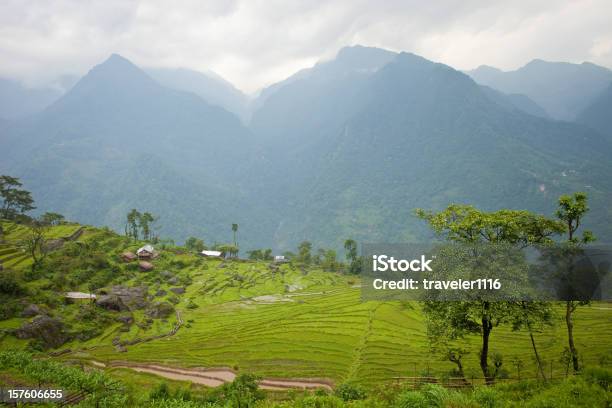 Northern Sikkim Indien Landschaft Stockfoto und mehr Bilder von Indien - Indien, Norden, Reisterrasse