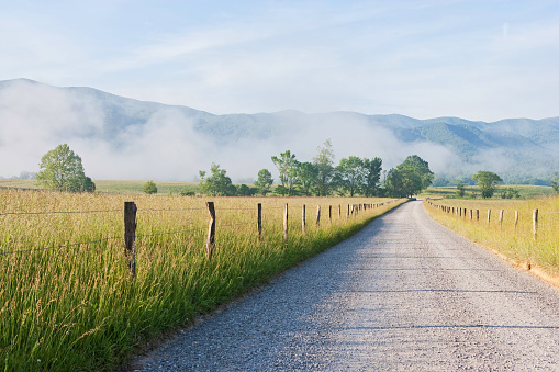 Country road in early morning in the Cades Cove area of the Smokies.
