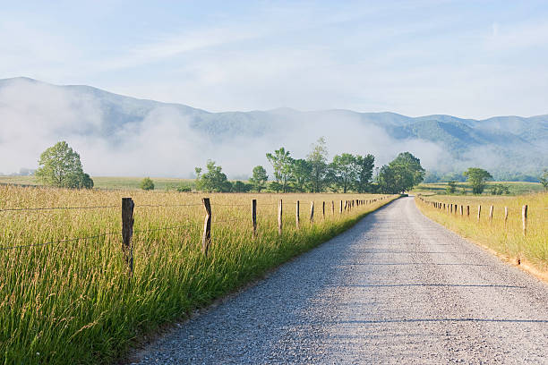 zatoczka chamów rano w gór smoky mountains - cades zdjęcia i obrazy z banku zdjęć