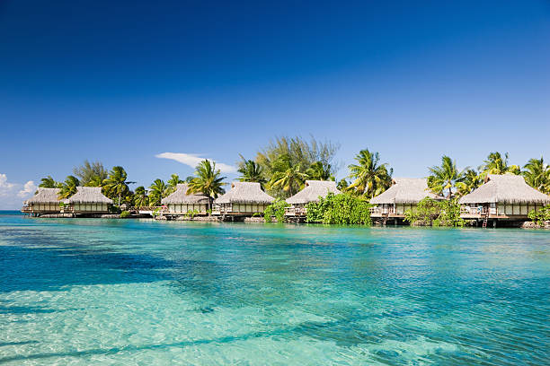 istock Dream Holiday Resort Moorea 157606682