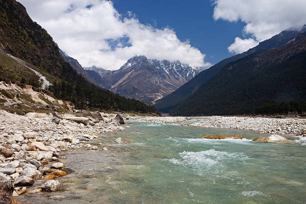 vale yumthang no norte de sikkimsikkim.kgm, índia - leito de rio imagens e fotografias de stock