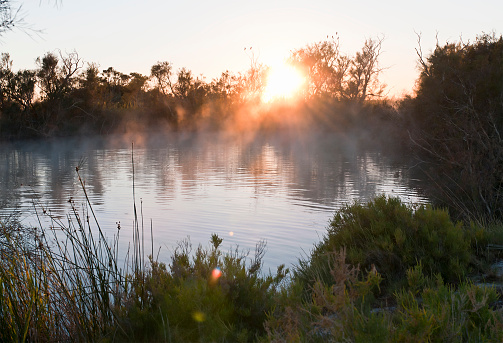 Sunrise over a steaming billabong in the Australian Outback.