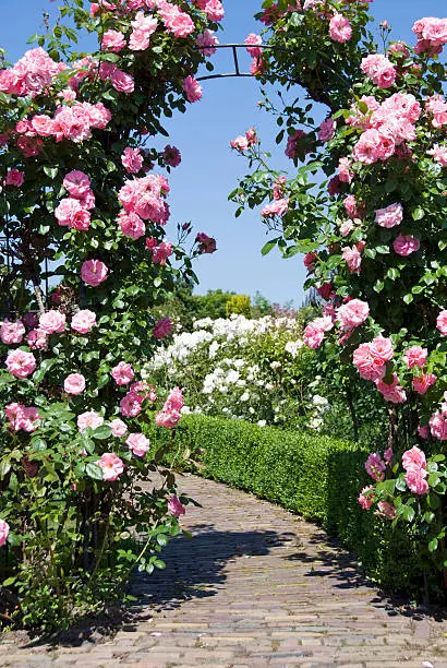 Photo of Gate of Pink Roses