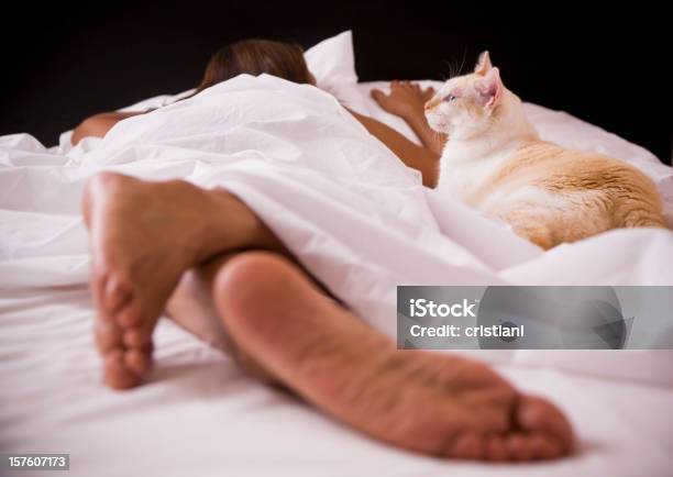 Mascota Foto de stock y más banco de imágenes de Adulto - Adulto, Cama, Dormir