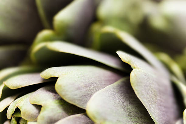 vista lateral de alcachofa - artichoke vegetable macro close up fotografías e imágenes de stock