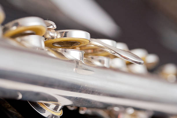 flute flute karlheinz böhm stock pictures, royalty-free photos & images