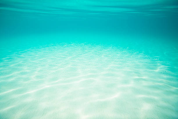 istock underwater seascape with white sand bottom in the Caribbean 157607455