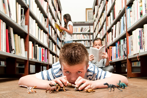 Boy playing on library floor with plastic dinosaurs