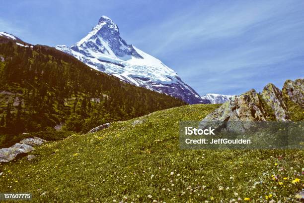 Das Matterhorn Und Meadow Stockfoto und mehr Bilder von Alpen - Alpen, Berg, Dramatische Landschaft