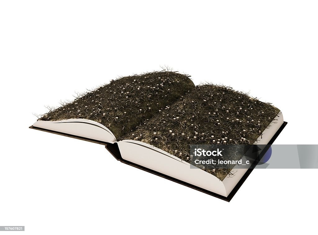 Deforestation Story  Picture Book Stock Photo