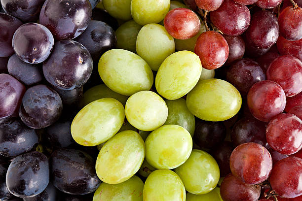 Three Kinds Of Grapes stock photo