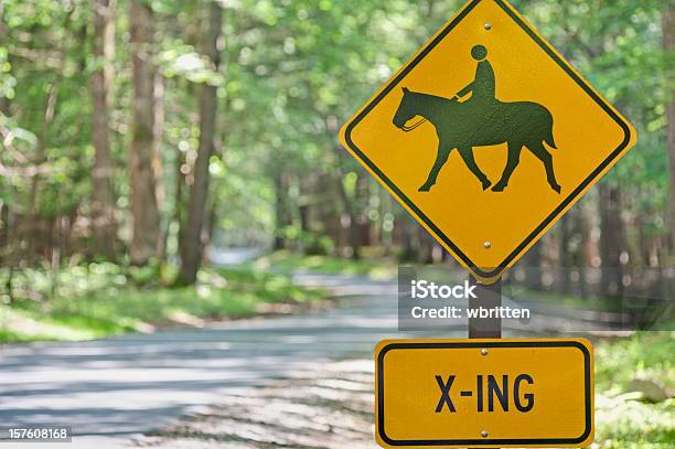 Caballo Paso De Señal Foto de stock y más banco de imágenes de Equitación - Equitación, Montañas Humeantes, Parque nacional Great Smoky Mountains