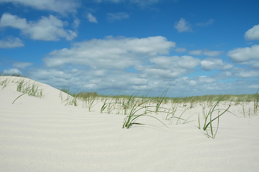 Beach at the ilse of Schiermonnikoog in The Netherlands, with a bright blue sky and fluffy white clouds.