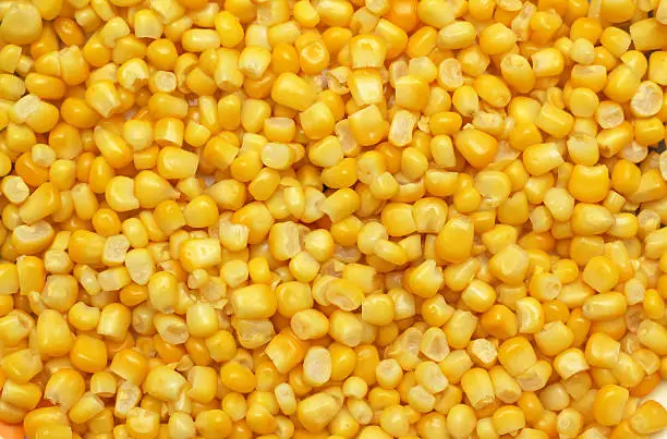 Photo of Corn