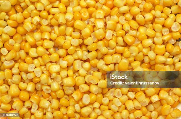 Kukurydza - zdjęcia stockowe i więcej obrazów Kukurydza - Zea - Kukurydza - Zea, Kukurydza cukrowa, Efekt faktury