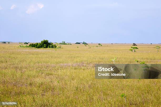 Atemberaubende Landschaft Stockfoto und mehr Bilder von Gras - Gras, Horizont, Amerikanische Kontinente und Regionen