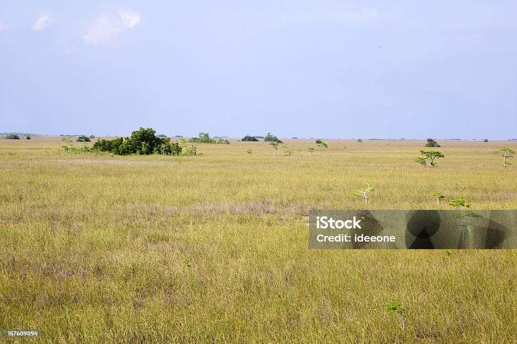 Vaste paysage - Photo de Herbe libre de droits