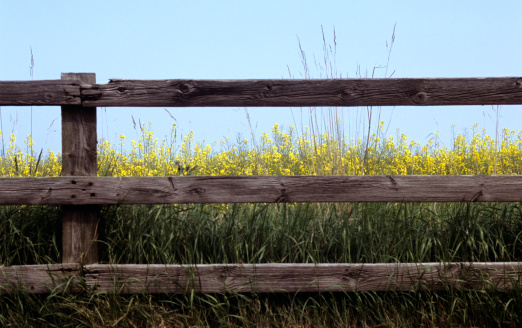 Wooden fence barrier at farm grounds for cattle and territory protection.
