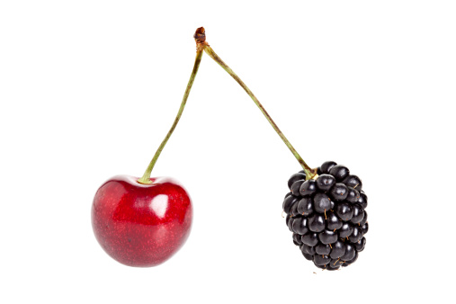 A blackberry and cherry on the same stem on a pure white background. Available in 7 sizes from XSmall to XXXLarge.