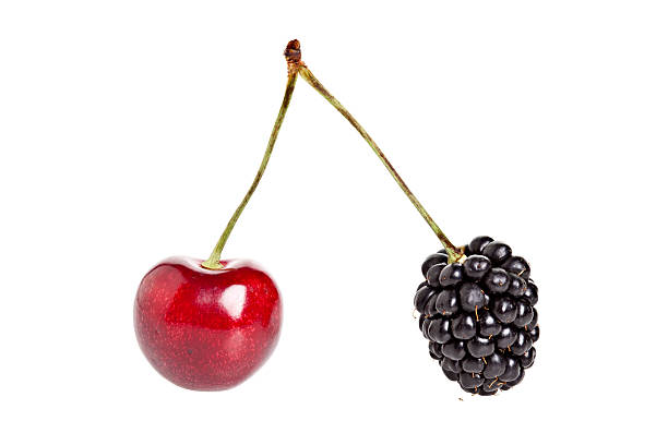 Mixed Fruit A blackberry and cherry on the same stem on a pure white background. Available in 7 sizes from XSmall to XXXLarge. cherry coloured stock pictures, royalty-free photos & images